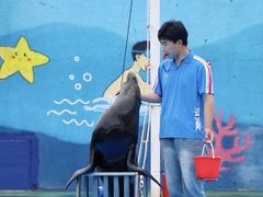 -汕头蓝水星欢乐世界