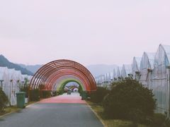 -建德果蔬乐园绪塘草莓基地