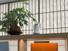 -长风拨筋养身(金虹桥店)