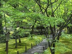 -三千院