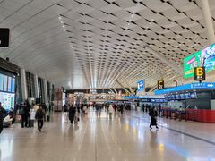 -郑州新郑国际机场-T2航站楼