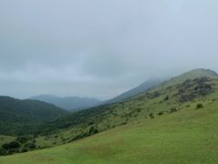-大姆山草场