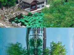 -无锡蠡湖国家湿地公园-蠡园