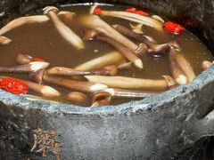 -蘑界·野生菌火锅(深业上城店)