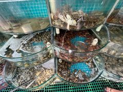 -仙螺岛海鲜自助餐厅(总店)