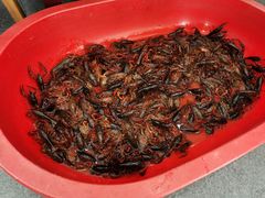 -家的味道餐厅·新鲜实惠