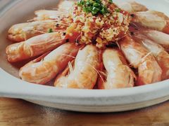 -洞庭家宴·头牌甲鱼(广渠门店)