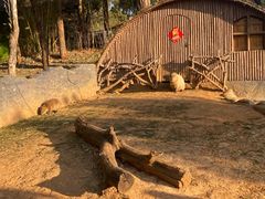 -云南野生动物园