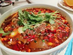 特色毛血旺-蝶园·装修中(BFC外滩金融中心店)