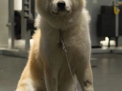 -YCHL Studios健身工作室(市二宫店)
