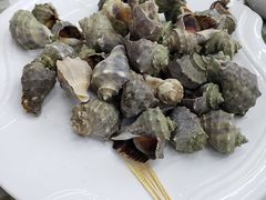 -烁佳海鲜大馅饺子