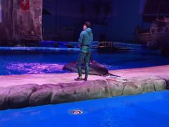 -华夏文旅海洋公园