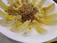 娃娃菜-九头鸟酒家(四道口店)