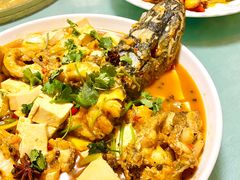 爆炒野生狗鱼块-煲来饱去冷水鱼