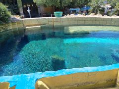 -上海玛雅海滩水公园