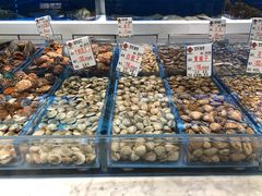 -宝轩渔府·老字号海鲜·正宗津菜(水上店)