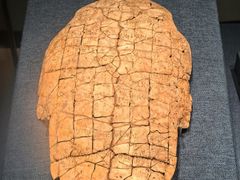 -盘龙城国家考古遗址公园