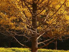 -香山公园-东宫门售票处