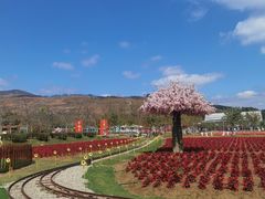 -盈香心动乐园