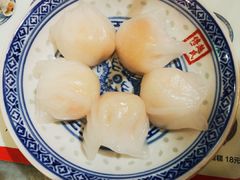 -赵氏传承特色牛奶甜品店(达明店)