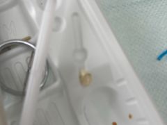 -常熟玉蕙口腔医院