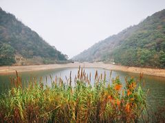 -桃花岭景区