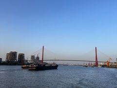 -高东镇樱花园