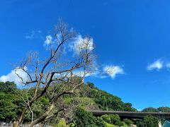 -西涌国际滨海旅游区