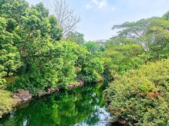 -上海滨江森林公园