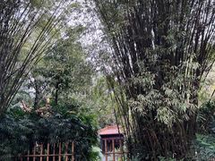 -广州兰圃