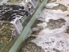 -盒马渔市餐厅