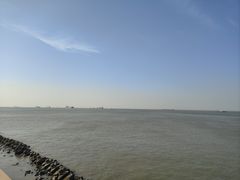 -吴淞炮台湾湿地森林公园烧烤区