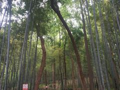 -杭州黄龙洞