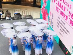 -上海颛桥万达广场