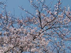 -玄武湖景区-情侣园游乐场