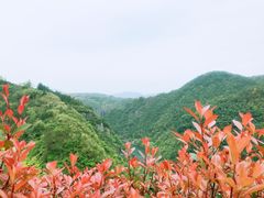 -磐安舞龙峡景区