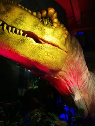 -恐龙探索乐园(磁器口店)