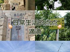 -秦岭风景区