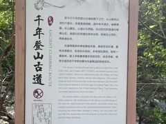 -北京鹫峰国家森林公园
