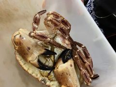 -李老爹香辣蟹(宣武门店)