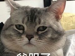 -青花小镇(凯翔新天地店)
