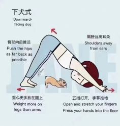 -卡莫瑜伽·普拉提