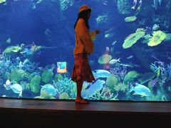-暹罗海洋世界