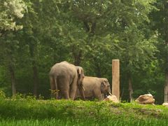 -北京野生动物园