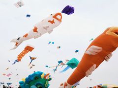 -潍坊滨海云门国际风筝放飞场