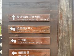 -田园东方蜜桃村的田野营地
