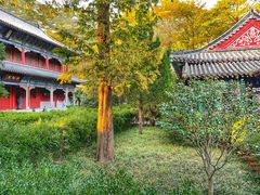 -青岛崂山太清宫