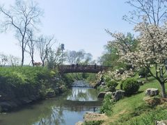 -羊山湖公园