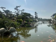 -罗红摄影艺术馆