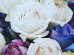 -昆明国际花卉拍卖交易中心